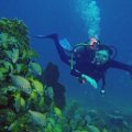 SCUBA DIVING